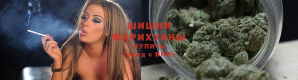 дмт Абаза