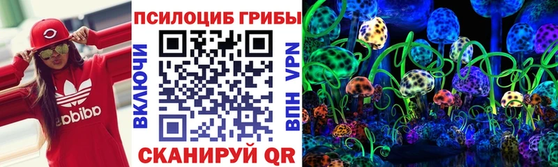 Псилоцибиновые грибы прущие грибы  Новочебоксарск 