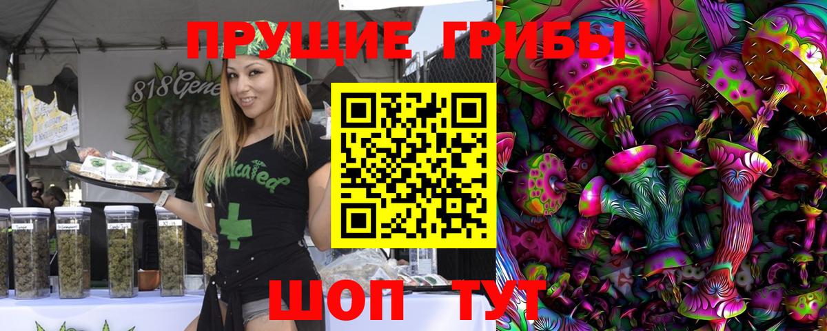 Галлюциногенные грибы GOLDEN TEACHER  Вход с VPN  Новочебоксарск 