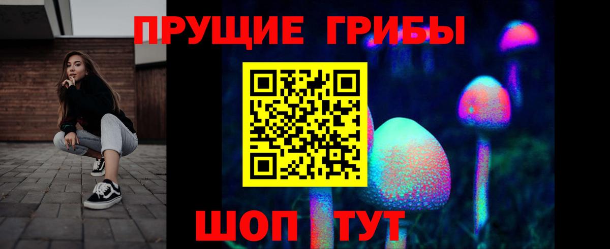 Псилоцибиновые грибы мухоморы Новочебоксарск